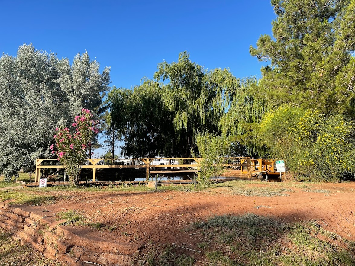 Fishing dock area with willow trees, oleander flowers, and lush greenery